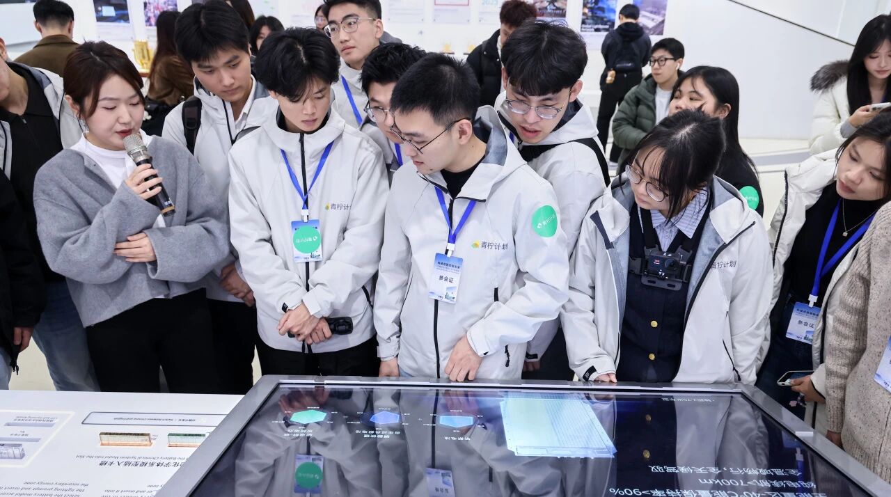 IMG_3101.JPG IMG_3101.JPG